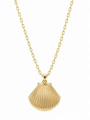 Capri Shell Necklace